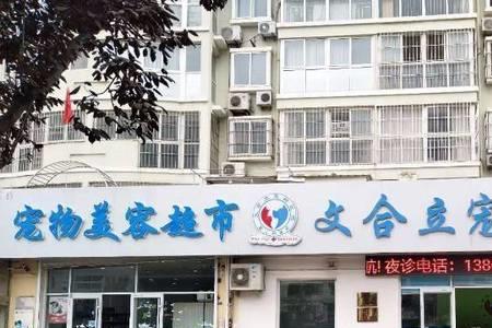 青岛宠物医院排行