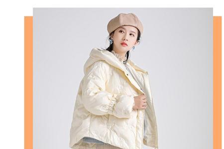 我本布衣是什么意思