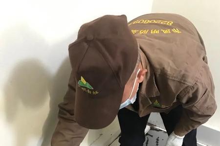 蚁巢服务是什么公司