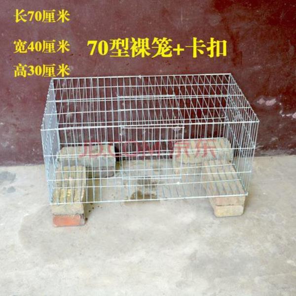 兔子跺笼子是什么意思