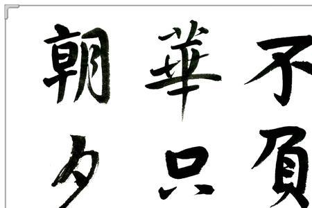 愿苍天不负韶华啥句子