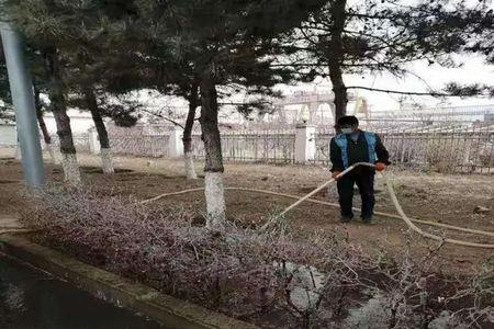 绿化春灌什么时候浇