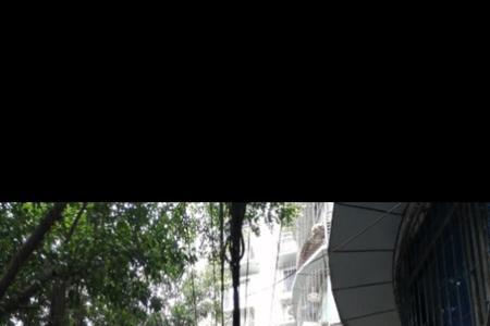 安在重庆是什么意思