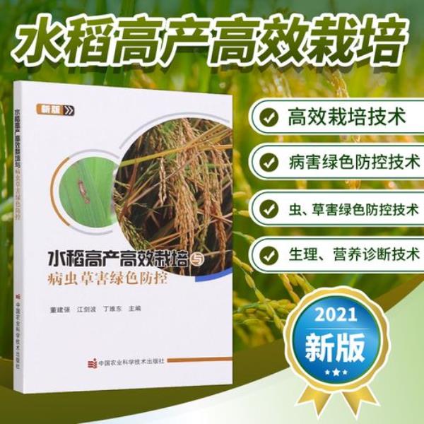 荷优8116水稻栽培技术