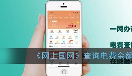不在国网交电费可以查见户号吗