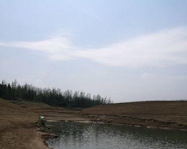 水库捕完鱼最佳钓鱼时间