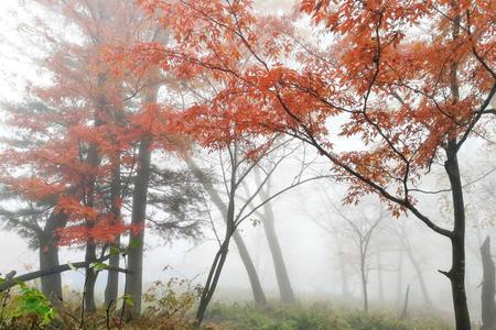 蓬窗细雨暮秋天全诗