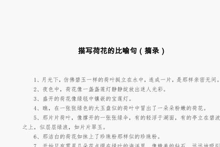 荷叶像什么比喻句