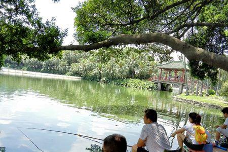 酃湖公园钓鱼怎么进去