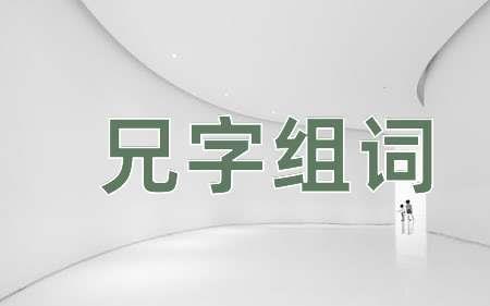 皆的组词有哪些