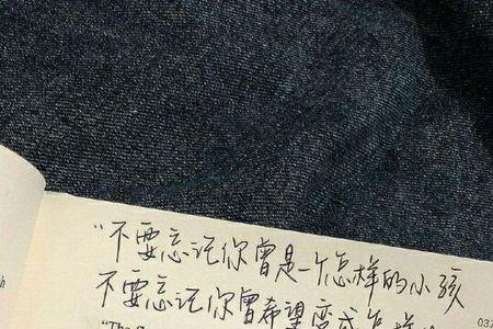 夜归还给星河的诗句什么意思