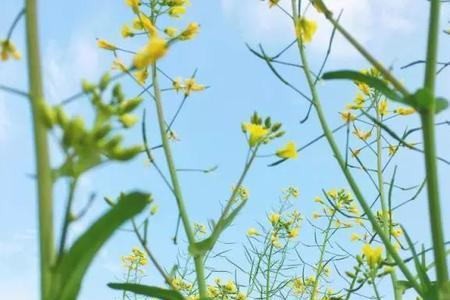 苦尽甘来春暖花开的意思