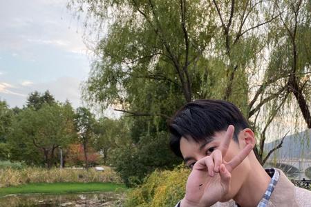 王鹤棣扔酒杯跳舞哪一期