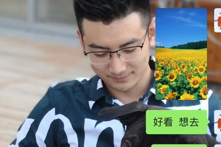 拍一拍暗示啥意思