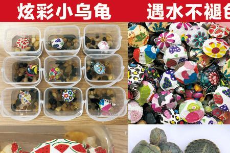 翡翠巴西龟幼苗怎么养