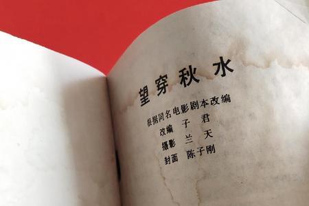 望穿秋水是下一句什么