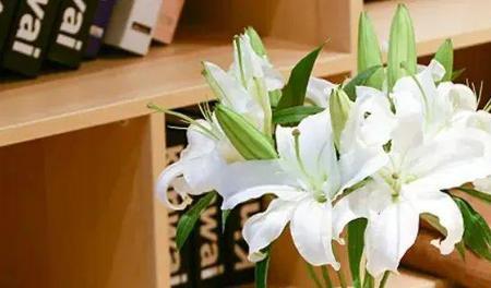 百合醒花一般醒多久