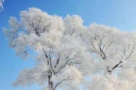冬天里的春天经典语句