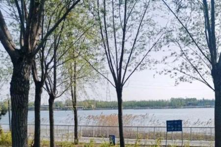 中牟牟山湿地公园有多高