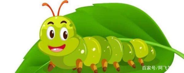 家里有毛毛虫说明什么