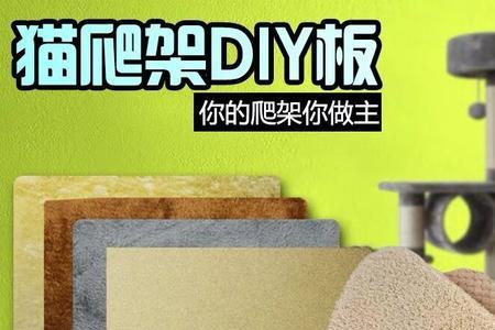 猫咪生产能挡个板子吗