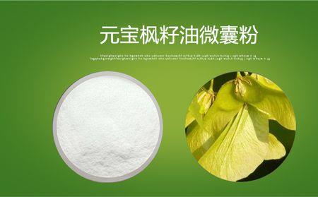 拼多多上的元宝枫籽油是真的吗