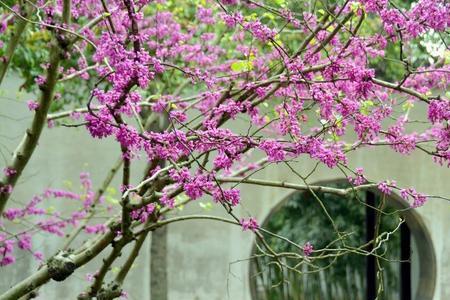 孟春的季节变化