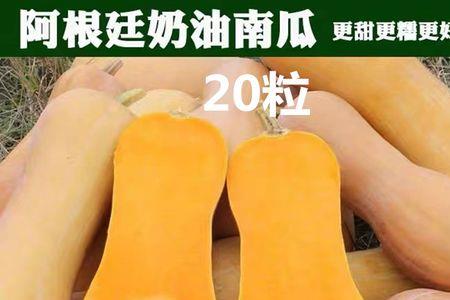 白南瓜与笋瓜的区别