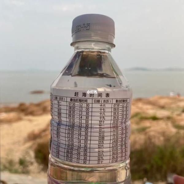 中心渔港赶海时间表