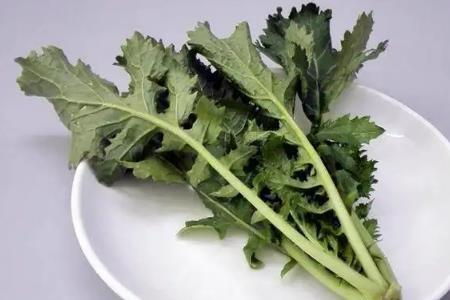 雪里蕻的吃法