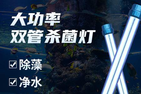 上过滤鱼缸最佳杀菌灯安装方法