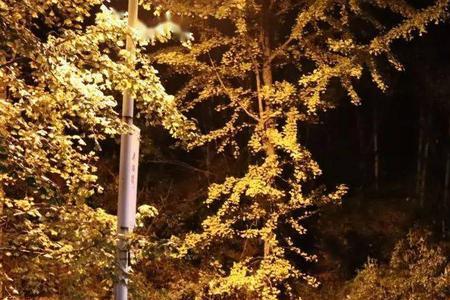 收获寥寥是什么意思