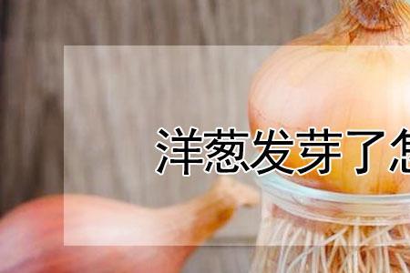 怎样控制皮芽子发芽