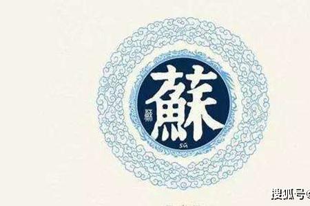 取个苏姓的男孩四字名字