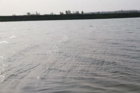 狂口什么意思