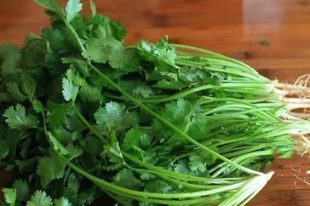 怎样放香菜的方法