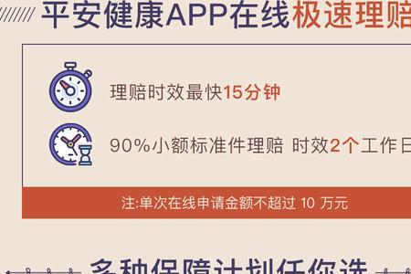 平安玺越人生成人保险什么意思