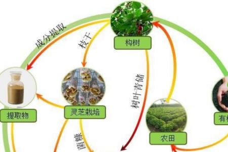 农林废弃物处理政策