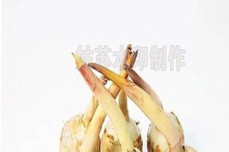 白茨菇煲汤的正确方法