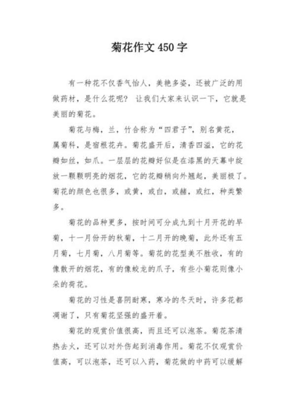 菊花作文50字