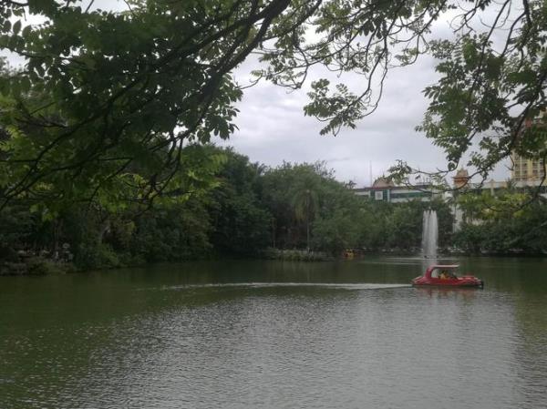 长沙南国雨林现在还开吗