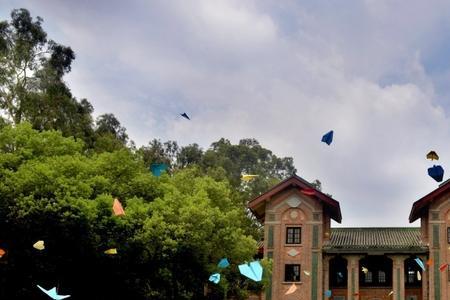 中山大学毕业好找工作吗