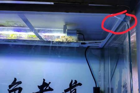 鱼缸漏水漏多久会漏到楼下