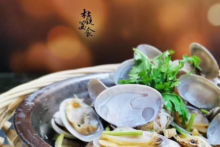 花蛤能净化鱼缸的水质吗