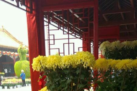 清明上河园年卡菊展期可以用吗