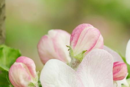 繁枝末节什么意思