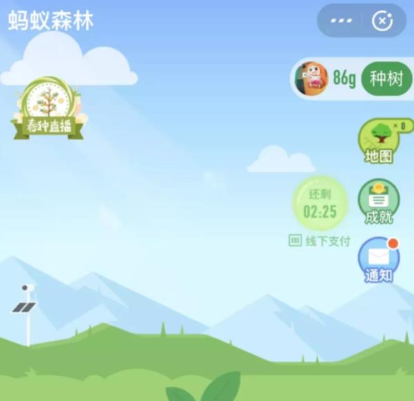 蚂蚁森林100多克是怎么产生的