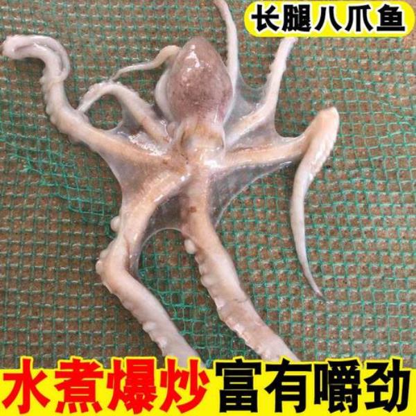 整条的长腿八爪鱼的做法有哪些