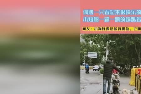 蹦哒蹦哒原唱