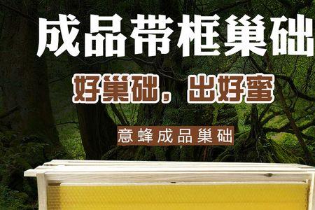 意蜂双王过冬要不要加继箱